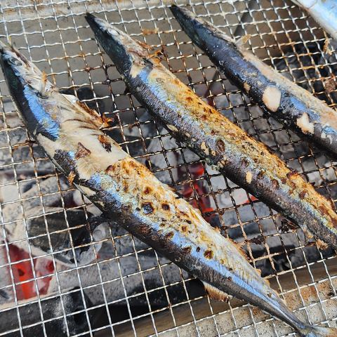 炭火で焼く秋刀魚