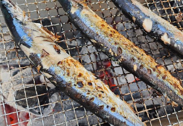 須坂商工会議所青年部 炭火で焼く秋刀魚